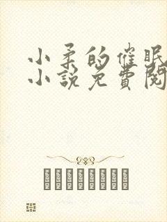 小柔的催眠日记小说免费阅读无弹窗