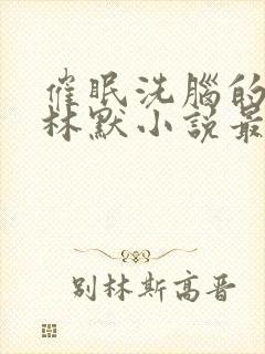 催眠洗脑的姐姐林默小说最新章节更