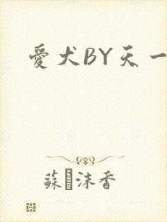 爱犬BY天一