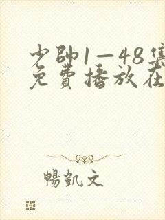 少帅1—48集免费播放在线观看