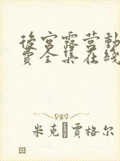 后宫露营动漫免费全集在线观看