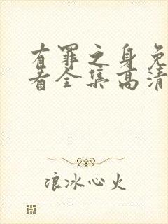 有罪之身免费观看全集高清版