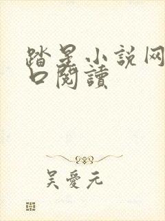 踏星小说网站入口阅读封面