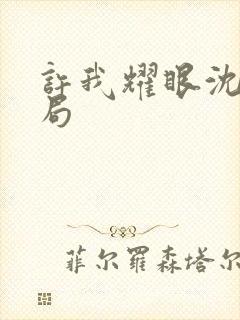 许我耀眼沈家结局