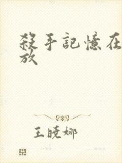 杀手记忆在线播放