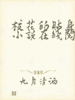 校花的贴身高手小说在线阅读封面