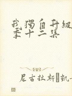 我独自升级第二季十二集