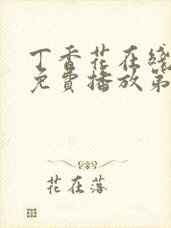 丁香花在线观看免费播放第12集