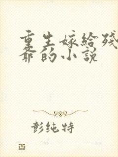 重生嫁给残疾王爷的小说