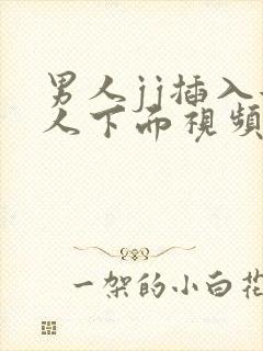 男人jj插入女人下面视频