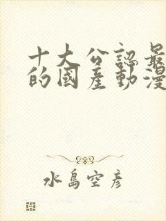 十大公认最好看的国产动漫