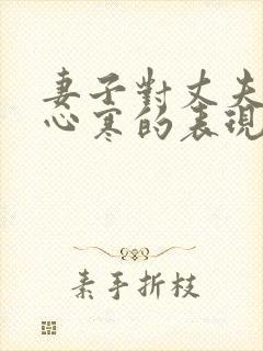 妻子对丈夫失望心寒的表现