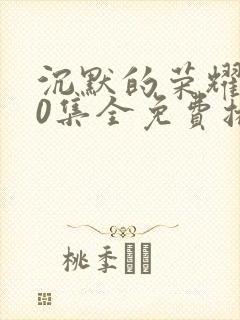 沉默的荣耀全40集全免费播放封面