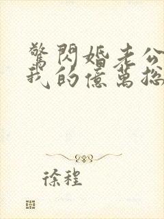 惊闪婚老公竟是我的亿万总裁封面