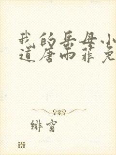 我的岳母小说林道唐雨菲免费阅读