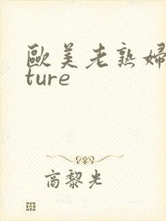 欧美老熟妇mature