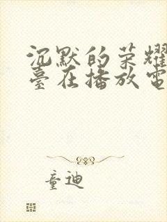 沉默的荣耀哪个台在播放电视剧