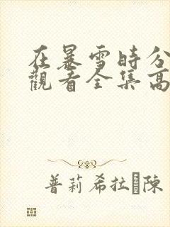 在暴雪时分免费观看全集高清高清封面