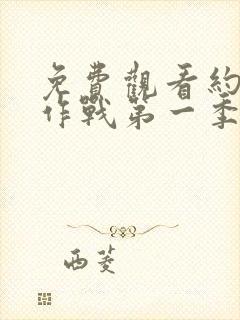 免费观看约会大作战第一季