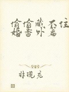 偷偷藏不住 新婚番外篇