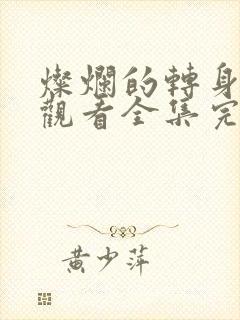 灿烂的转身免费观看全集完整版封面