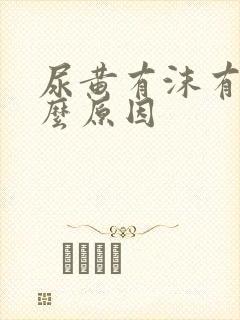 尿黄有沫有味什么原因封面