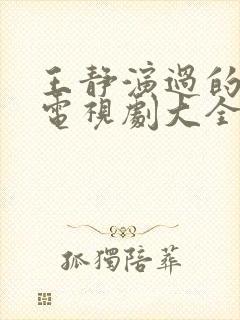 王静演过的全部电视剧大全