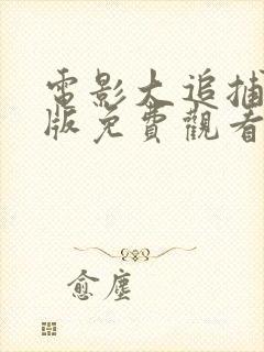 电影大追捕国语版免费观看