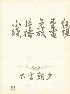 小片免费观看在线播放电视剧封面