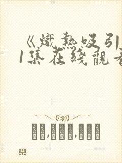 《炽热吸引》31集在线观看