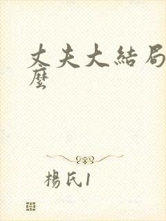 丈夫大结局是什么封面