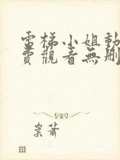 电梯小姐动漫免费观看无删减