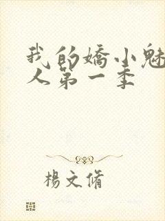 我的娇小魅魔仆人第一季