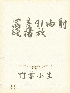 国产91内射在线播放