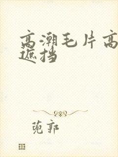 高潮毛片高清无遮挡