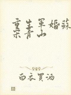 重生军婚苏向晚宋青山