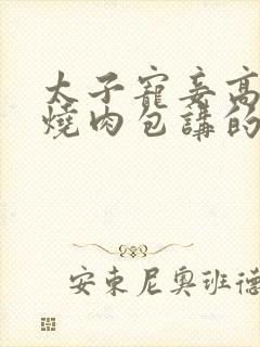 太子宠妾高肉红烧肉包讲的什么