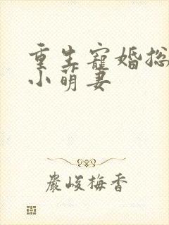 重生宠婚总裁的小萌妻