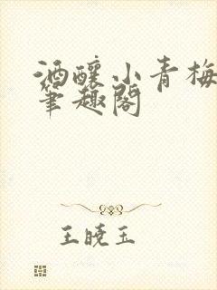 酒酿小青梅po笔趣阁