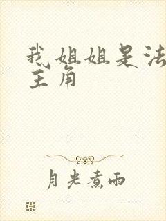 我姐姐是法官女主角