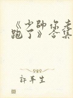 《少帅你老婆又跑了》合集