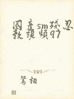 国产sm残忍调教视频97