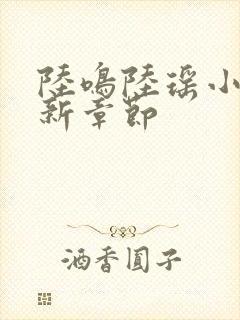 陆鸣陆瑶小说最新章节封面