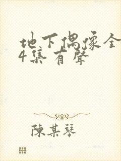 地下偶像全集24集有声