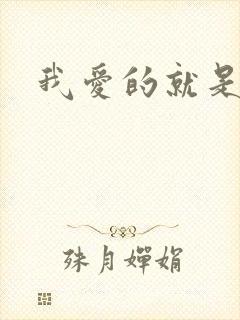 我爱的就是你封面