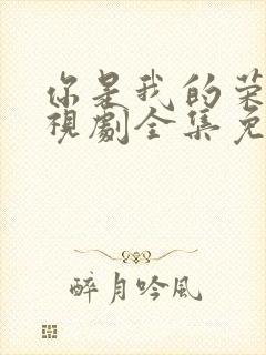 你是我的荣耀电视剧全集免费观看