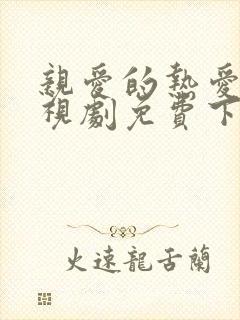 亲爱的热爱的电视剧免费下载观看封面