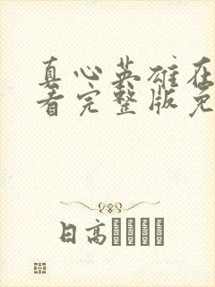 真心英雄在线观看完整版免费