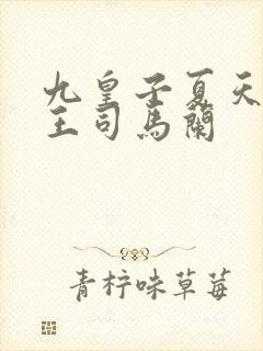 九皇子夏天荒州王司马兰