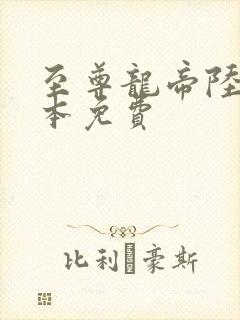 至尊龙帝陆鸣全本免费